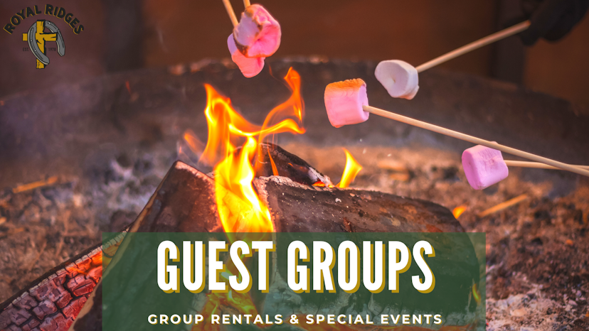 guest groups